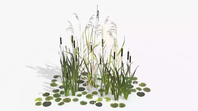 Modular Wetland Plants Set 01 Low-poly 3D model