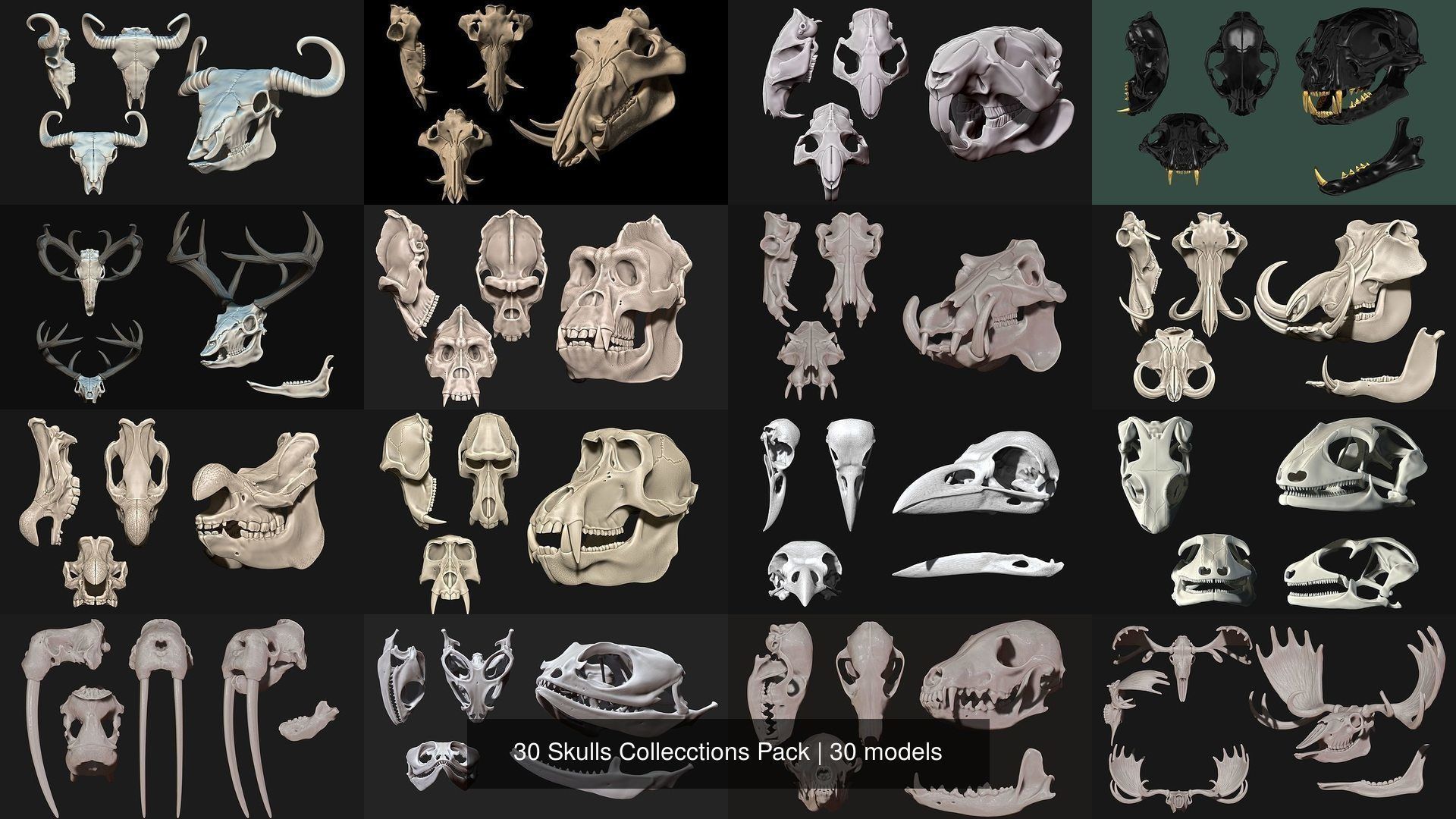 30 Skulls Collecctions Pack 3D Model Collection_1