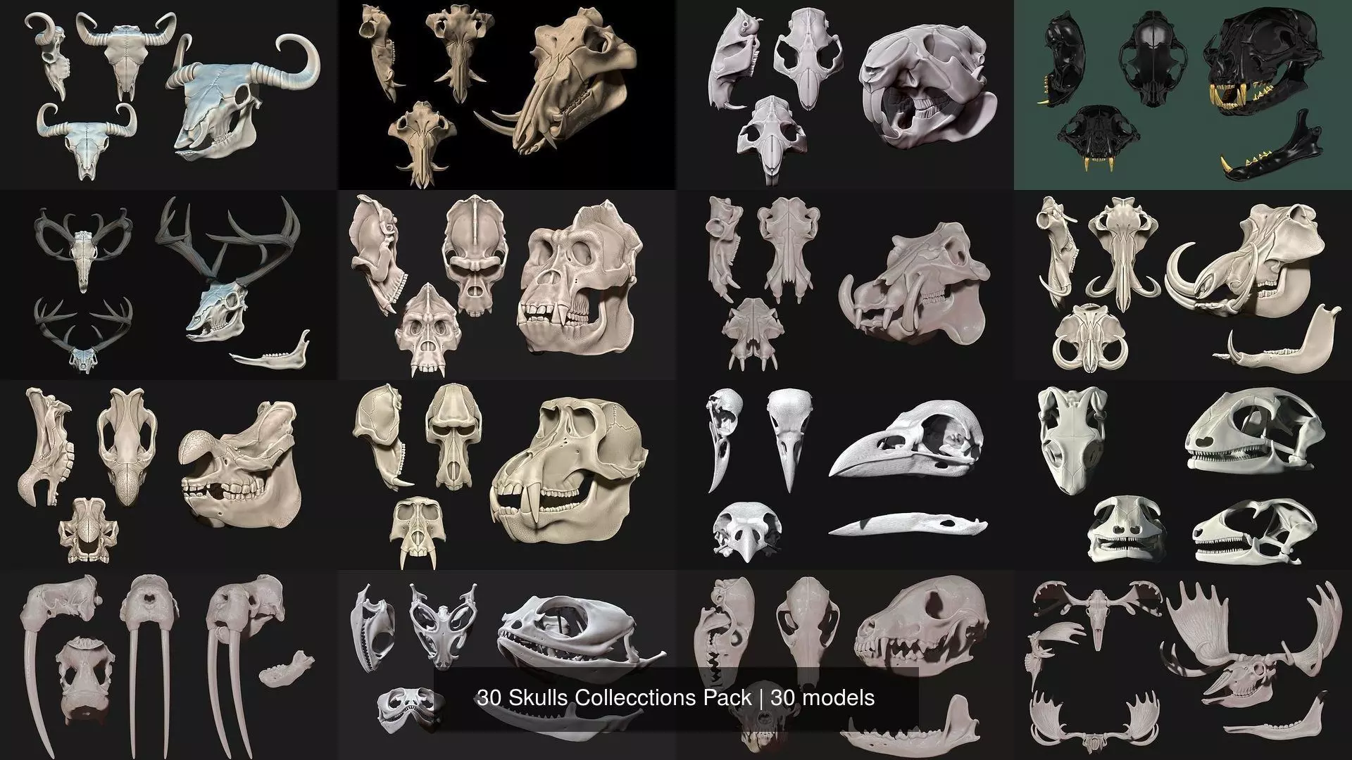 30 Skulls Collecctions Pack 3D Model Collection_0