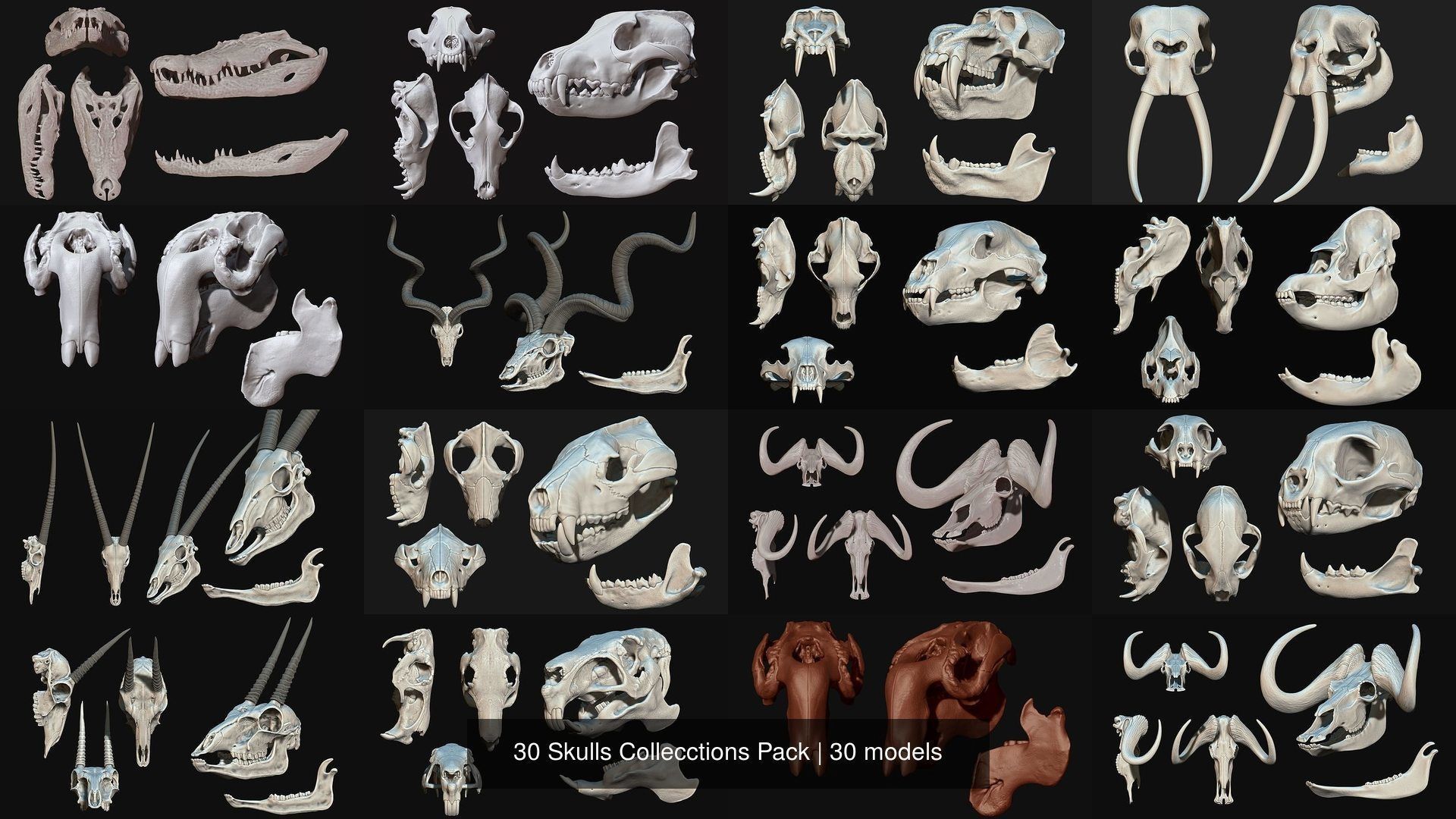 30 Skulls Collecctions Pack 3D Model Collection_4