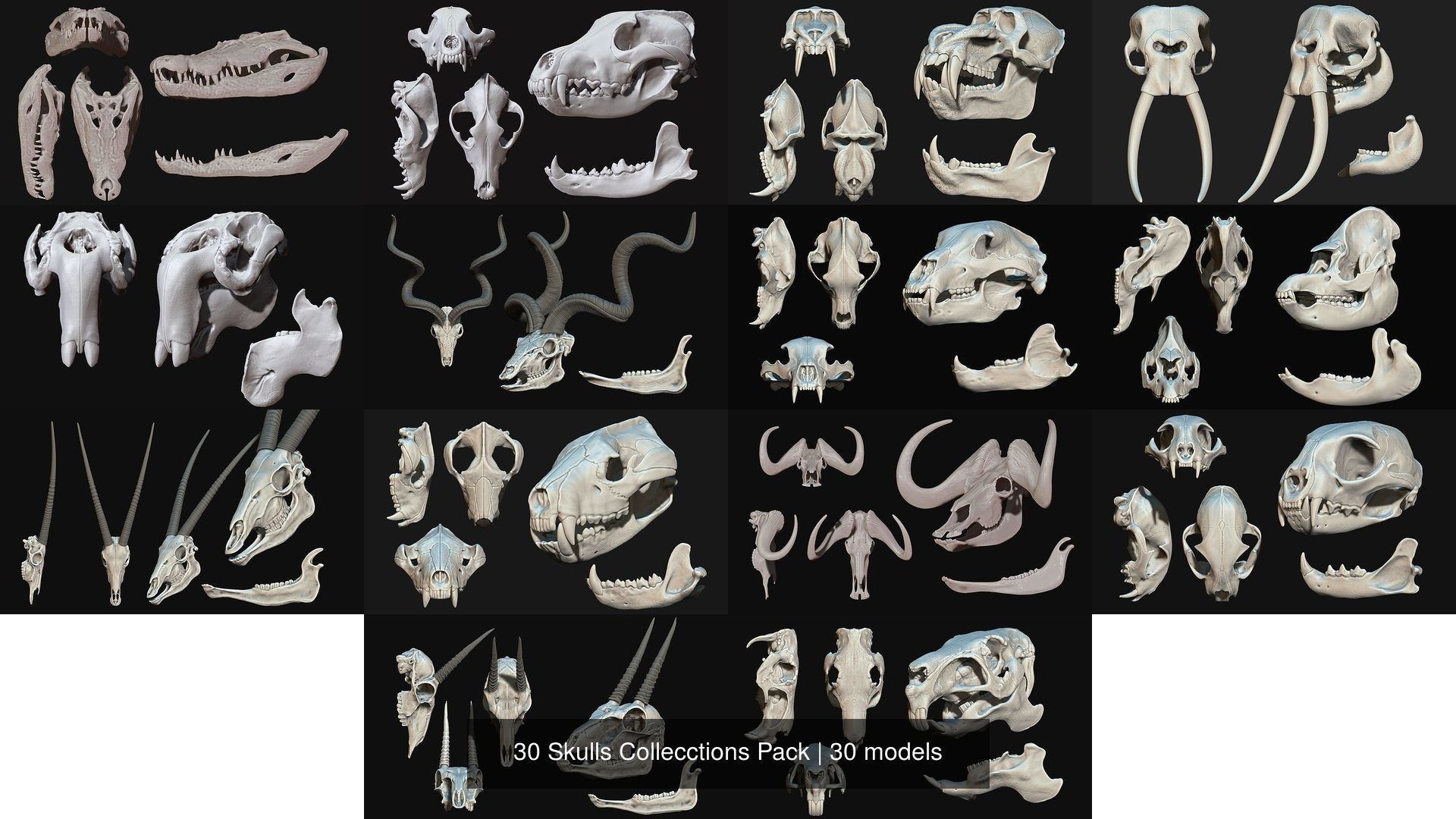 30 Skulls Collecctions Pack 3D Model Collection_2