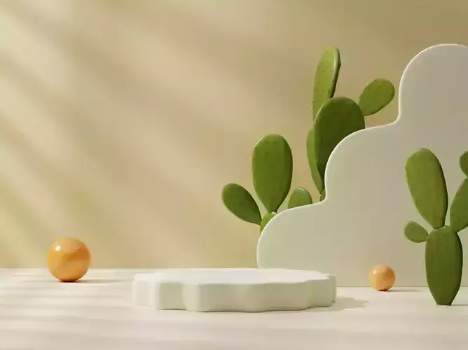 Cactus and Podium for product presentation