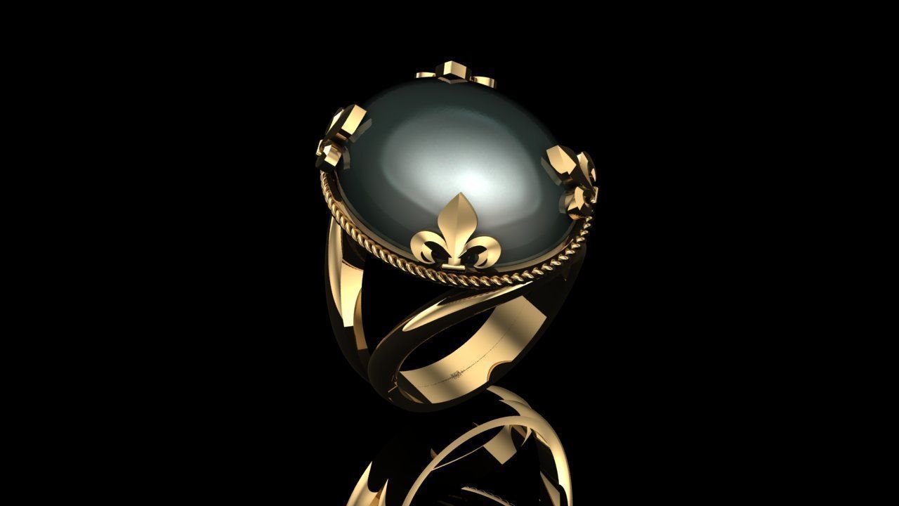 Women Ring 3D print model_2