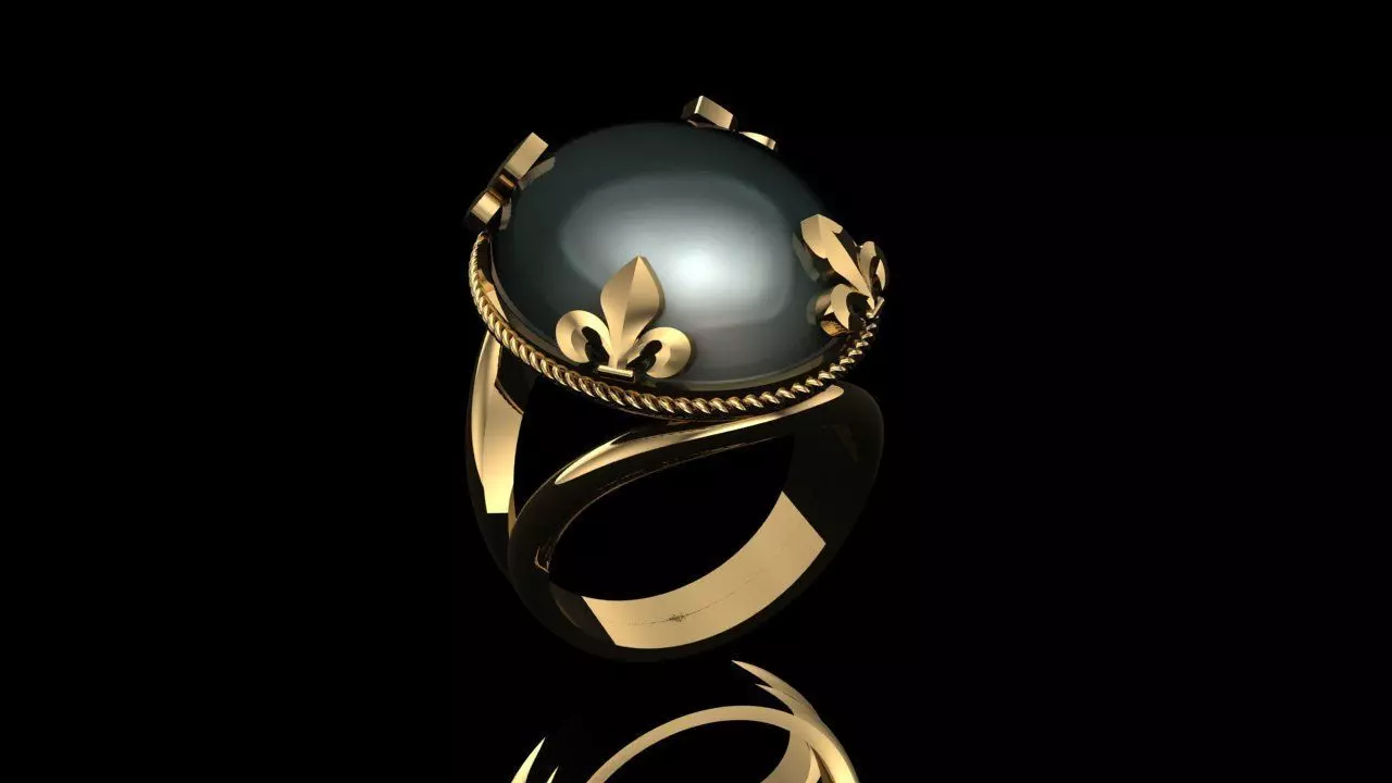 Women Ring 3D print model_0