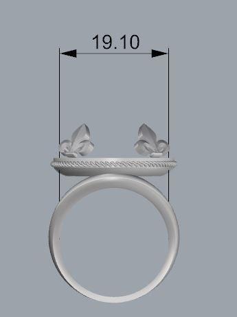 Women Ring 3D print model_9