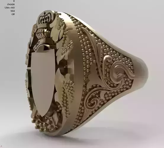 A very special men ring