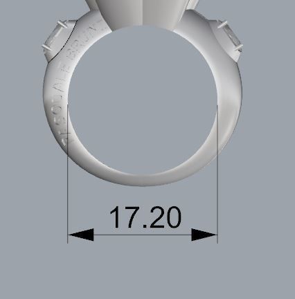 PASQUALE BRUNI RING 3D print model_6