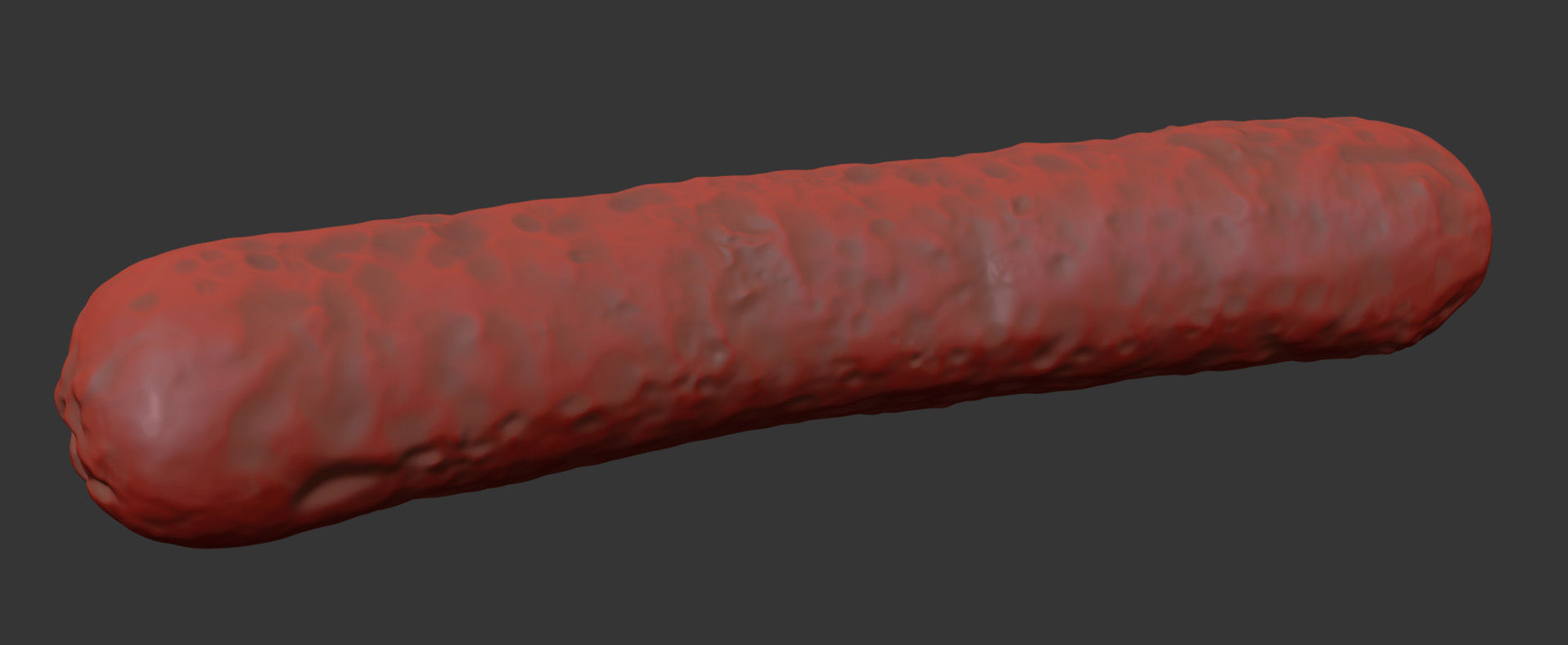 Sausage 3D model_7
