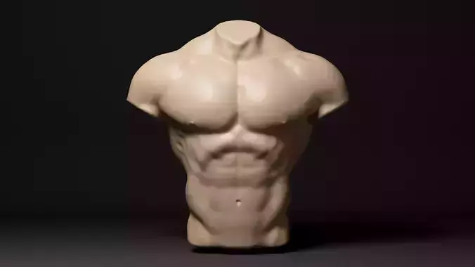 Male Torso - 3D print model  3D print model