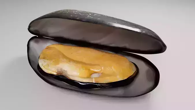 Mussel