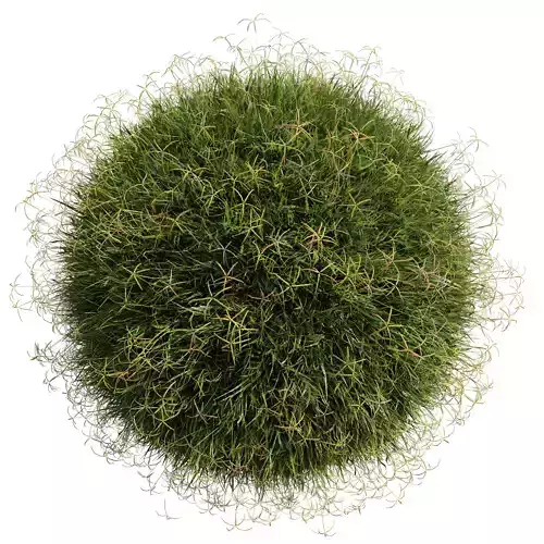 Grass foliage pack 8k and 2k resolution meadow plant Low-poly 3D model