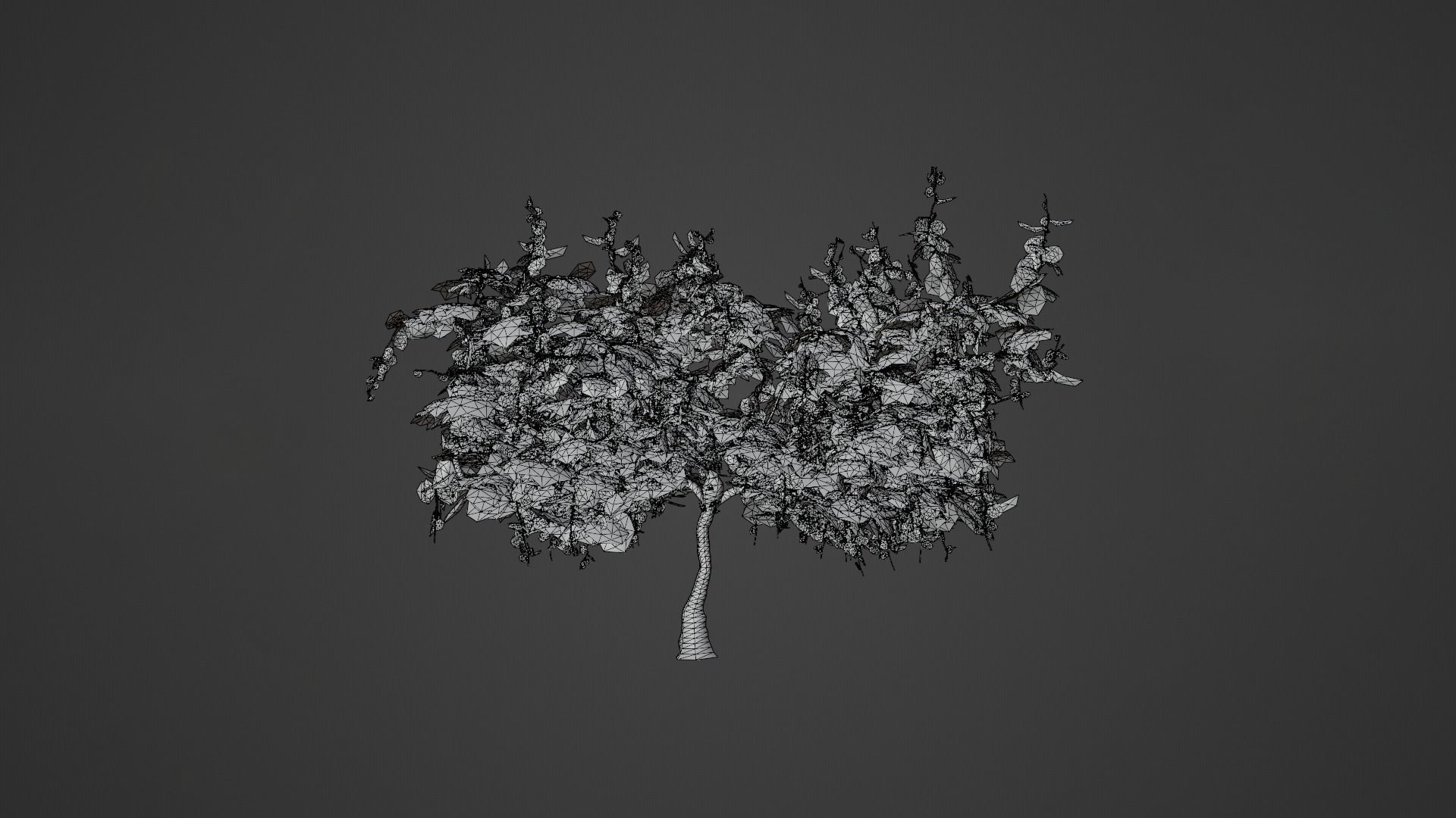 Grapevine Plant 001 Var 007 3D model_8
