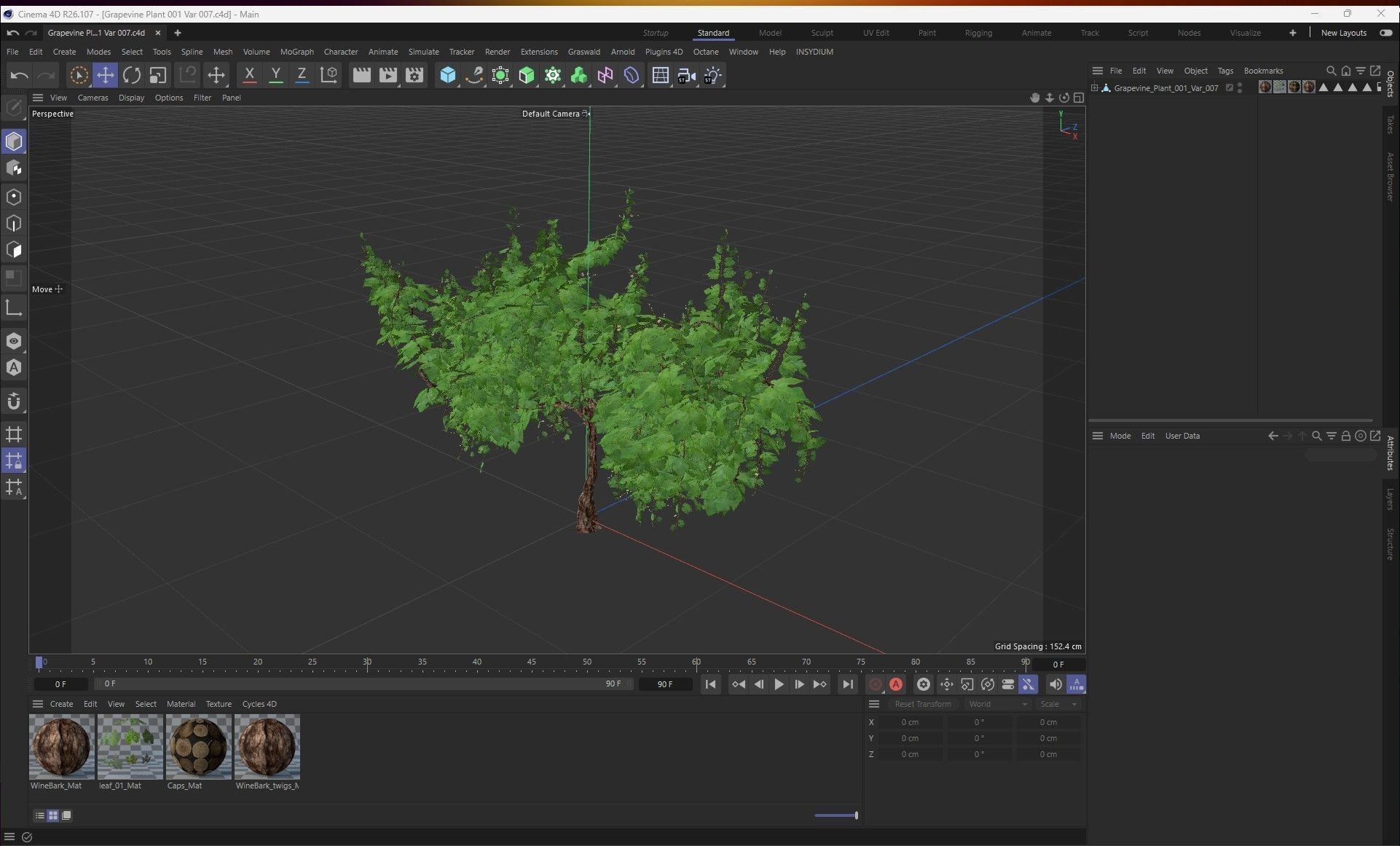 Grapevine Plant 001 Var 007 3D model_10