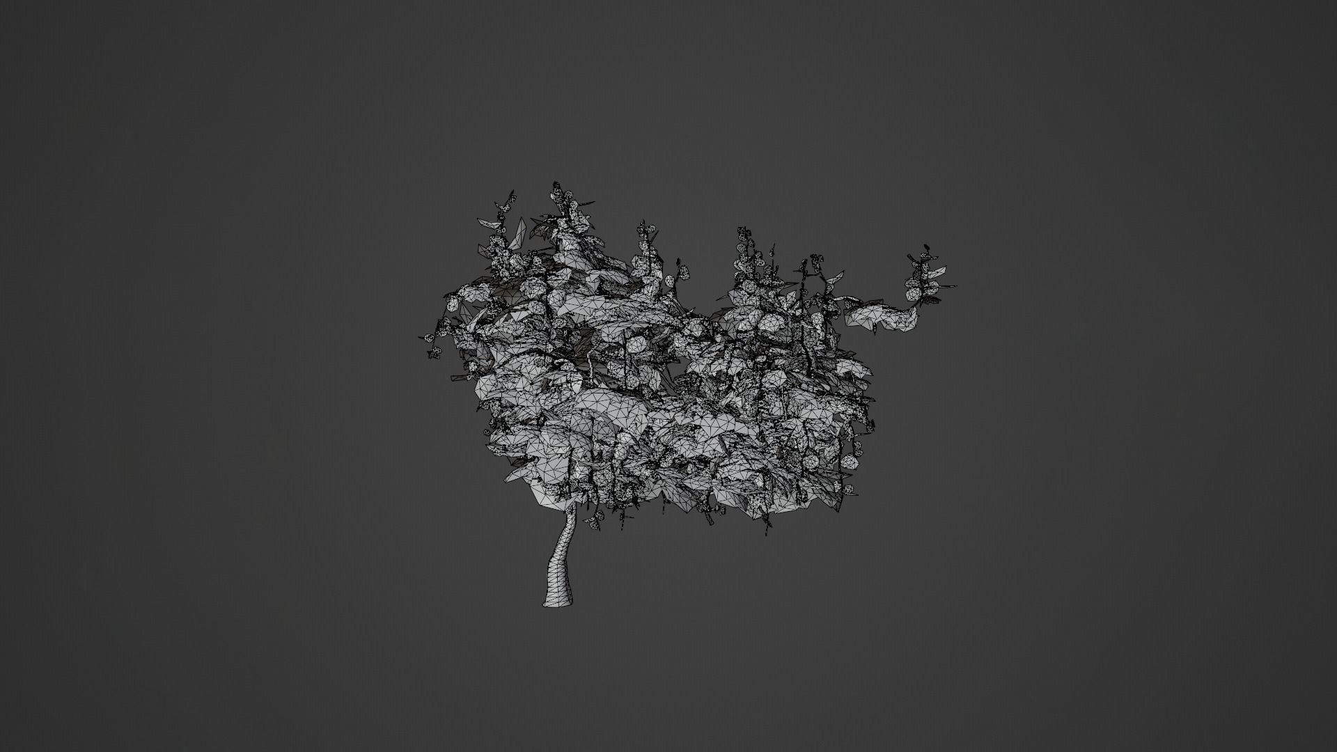 Grapevine Plant 001 Var 005 3D model_8