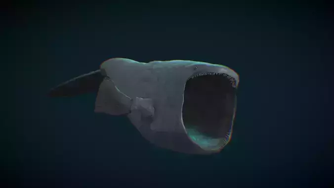 Bloop Free 3D model