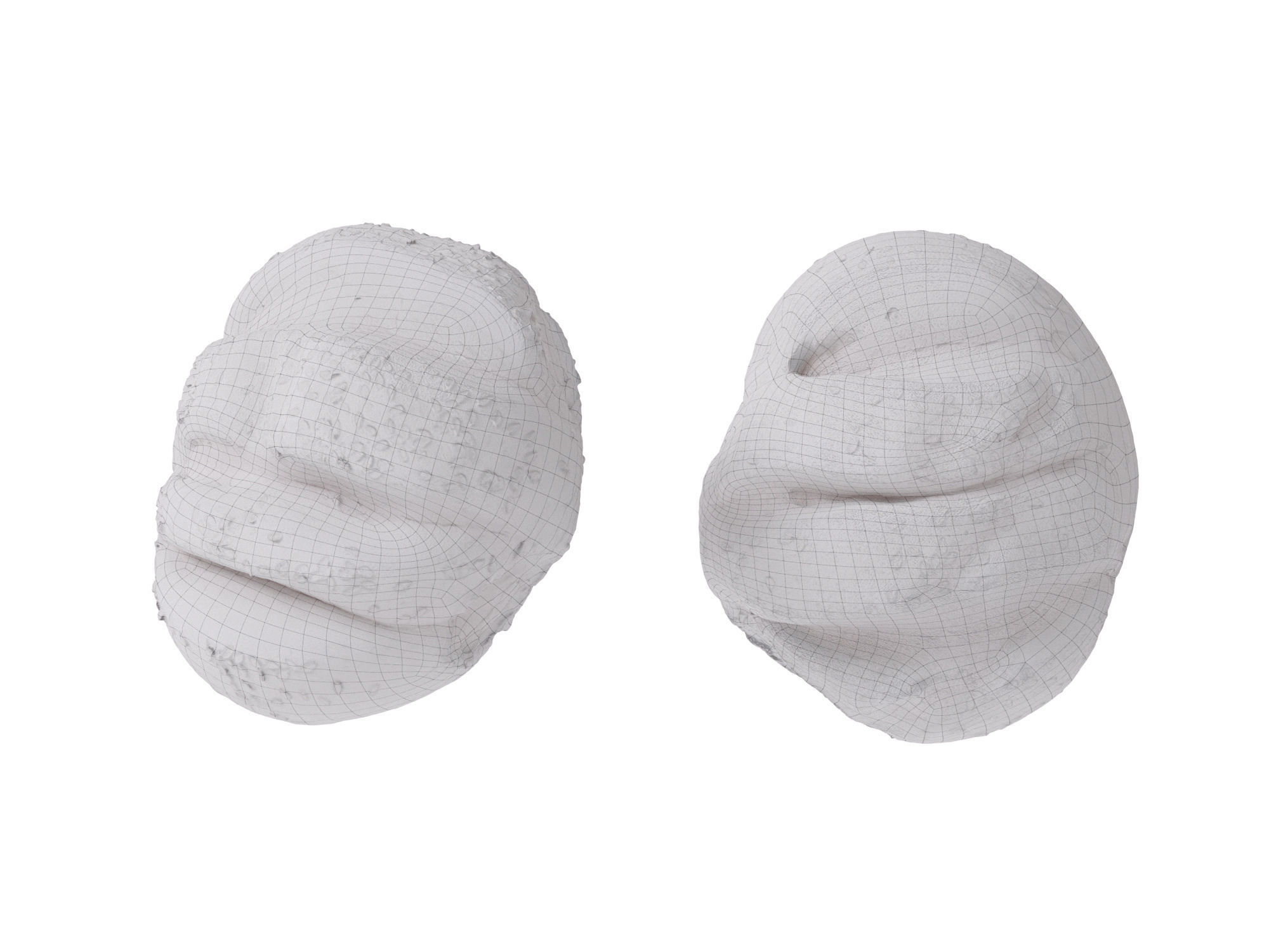 Hamburger Bun  3D model_13