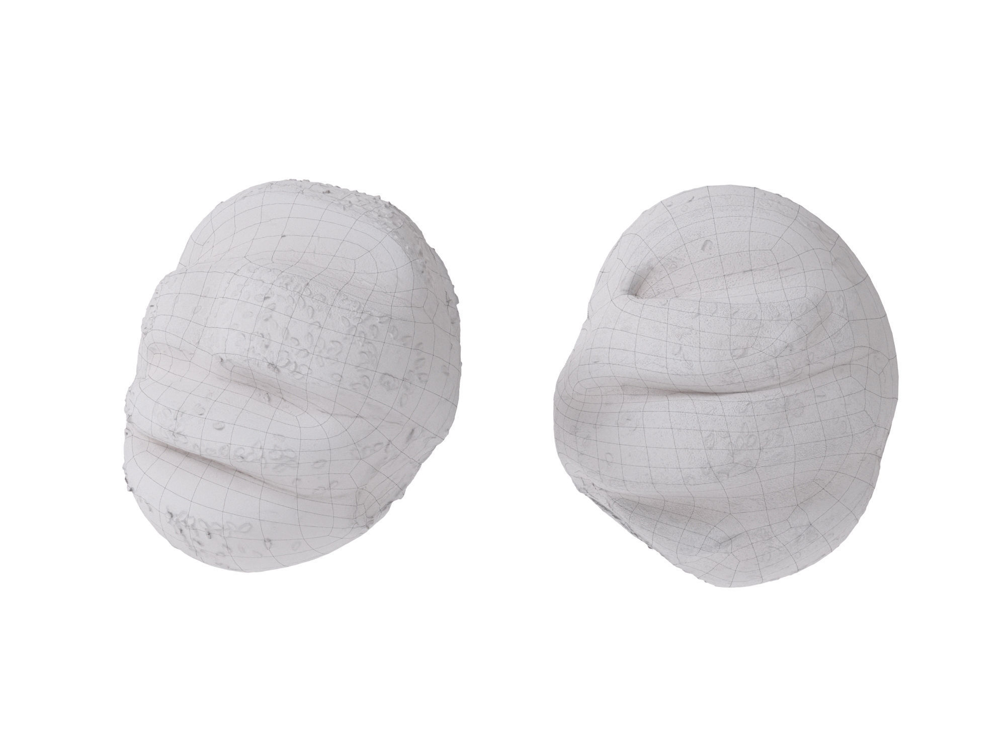 Hamburger Bun  3D model_12