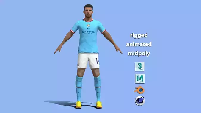 T-P Rigged Laporte Manchester City
