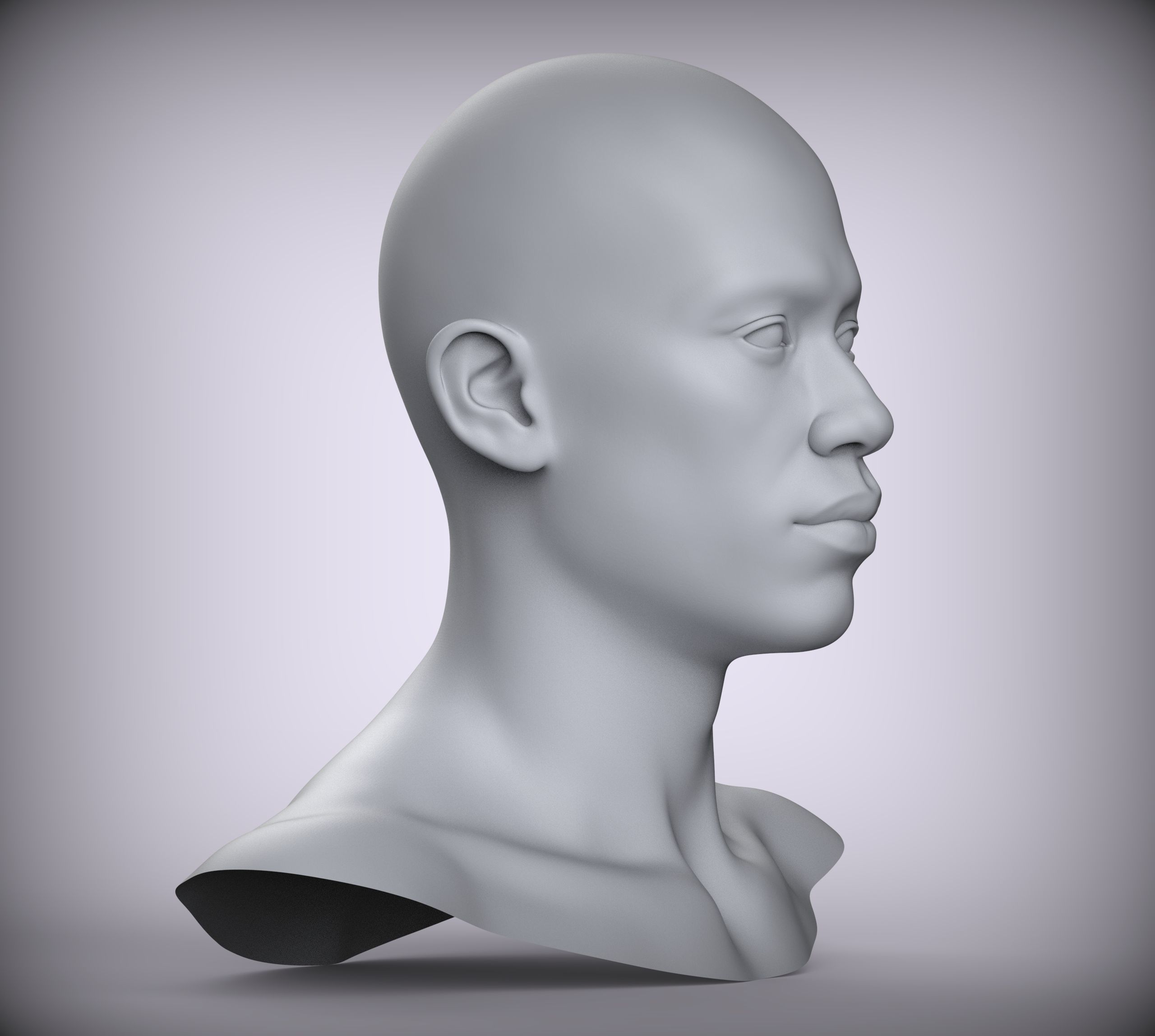 13 Male Head Sculpt 3D model Low-poly 3D model Low-poly 3D model Low-poly 3D model_3