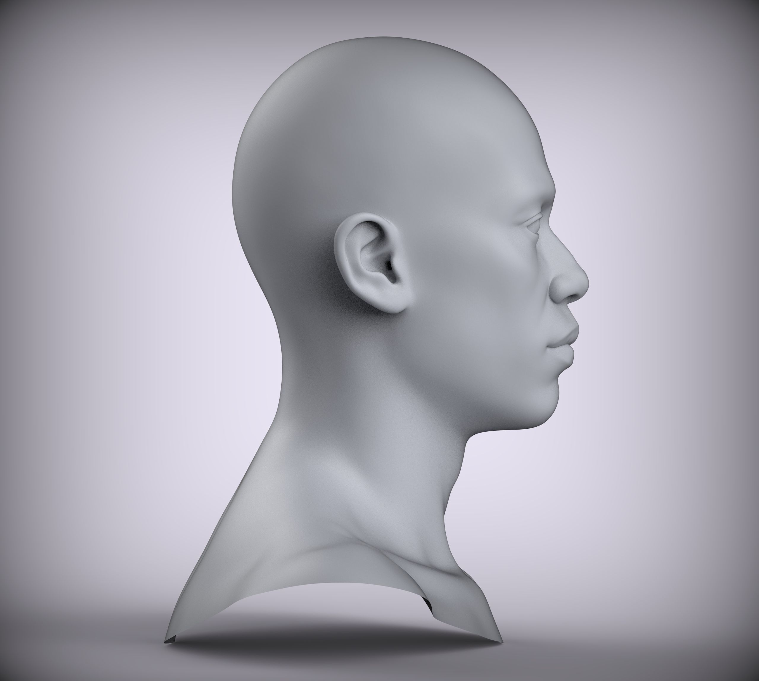 13 Male Head Sculpt 3D model Low-poly 3D model Low-poly 3D model Low-poly 3D model_4