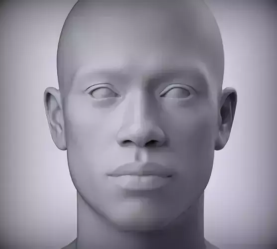 13 Male Head Sculpt 3D model Low-poly 3D model Low-poly 3D model Low-poly 3D model 13 Male Head Sculpt 3D model Low-poly 3D model Low-poly 3D model Low-poly 3D model