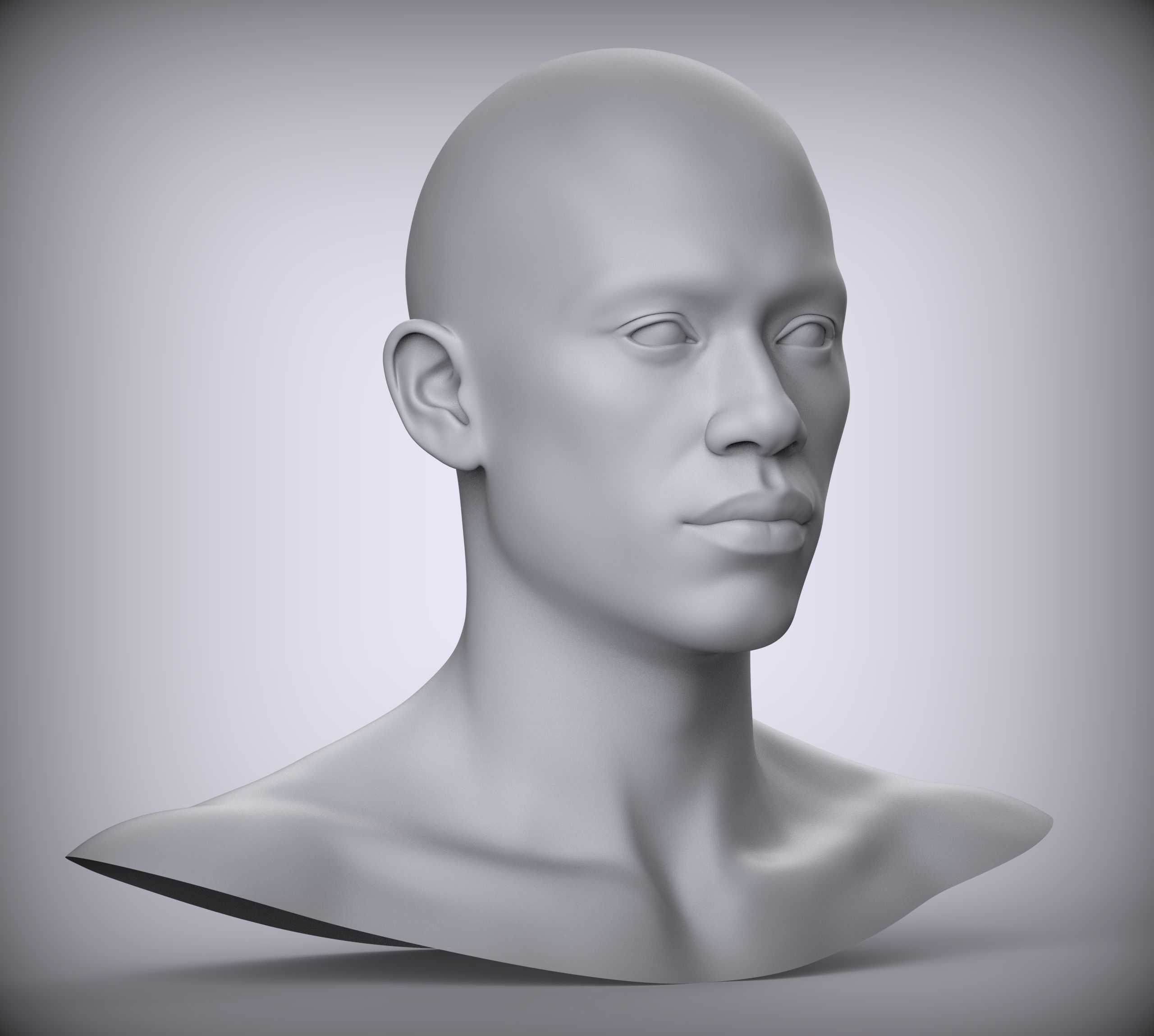 13 Male Head Sculpt 3D model Low-poly 3D model Low-poly 3D model Low-poly 3D model_2
