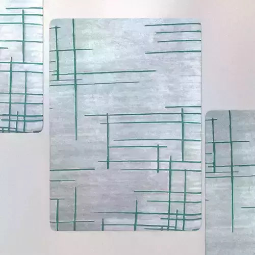 Hallway and bath carpet