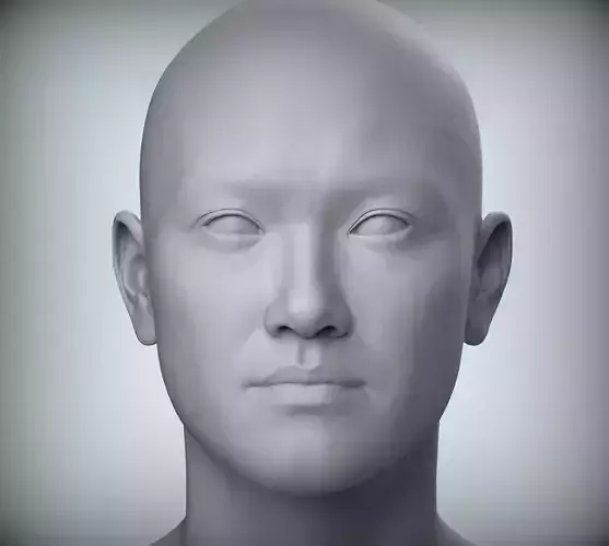 14 Male Head Sculpt 3D model Low-poly 3D model Low-poly 3D model