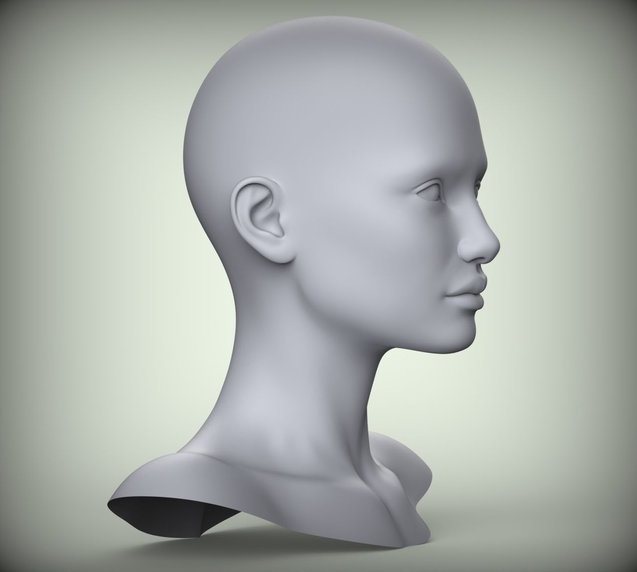 18 3D Head Face Female Character Women teenager portrait doll 3D Low-poly 3D model_3