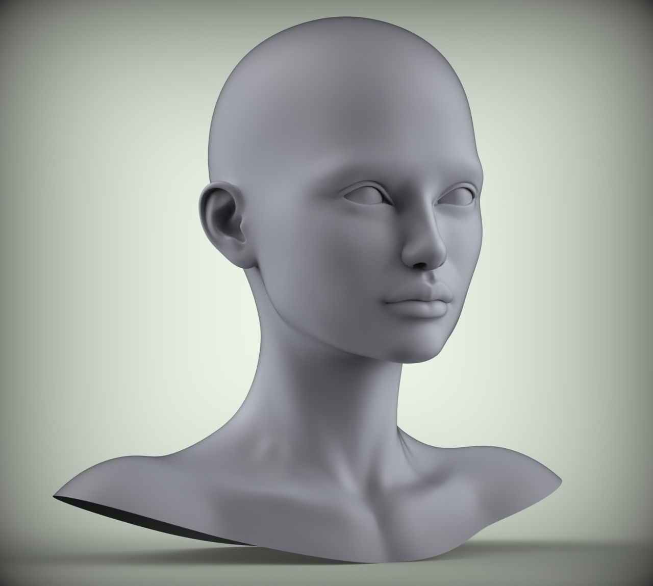 18 3D Head Face Female Character Women teenager portrait doll 3D Low-poly 3D model_2