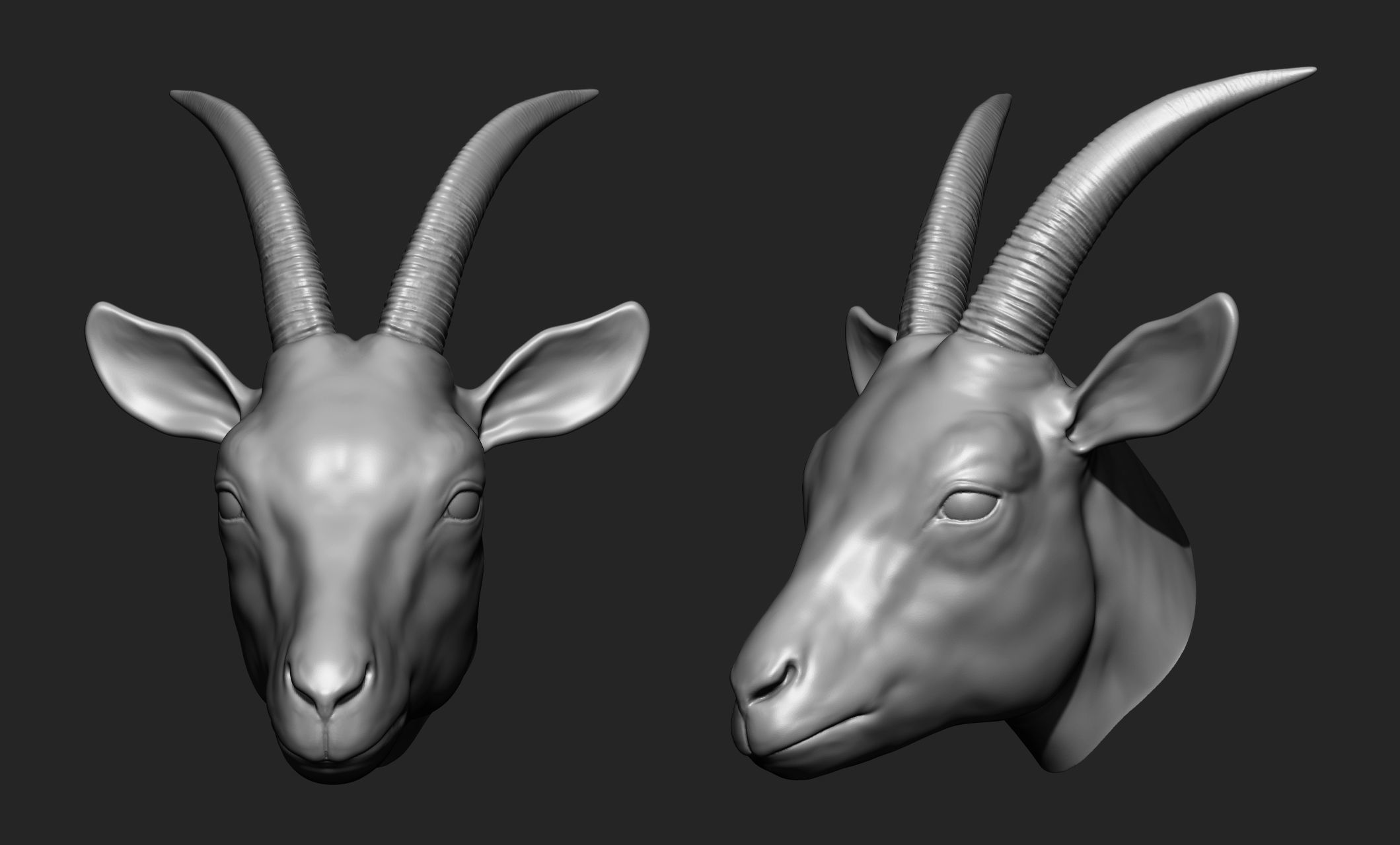 13 animal Heads 3D model_15