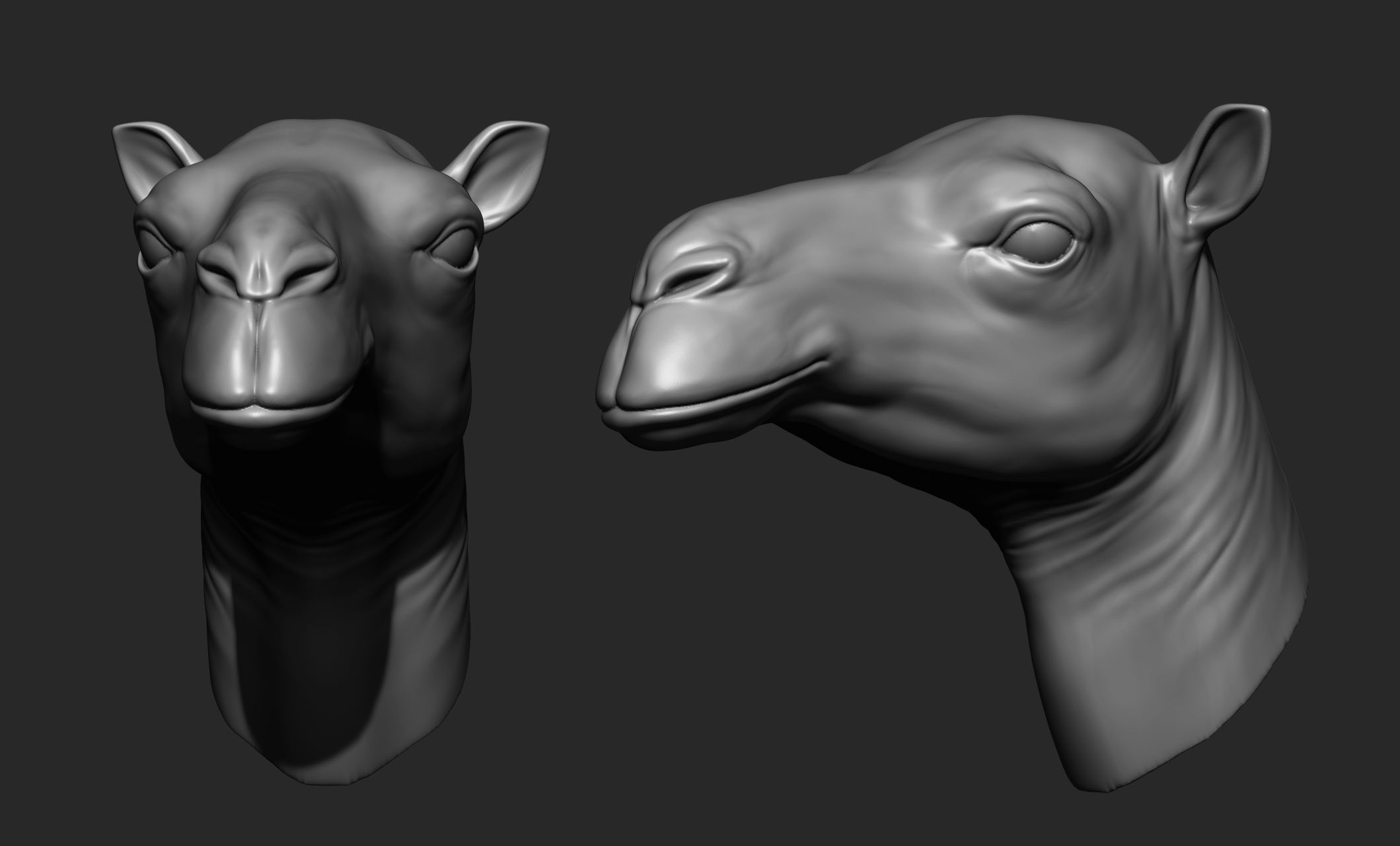 13 animal Heads 3D model_14