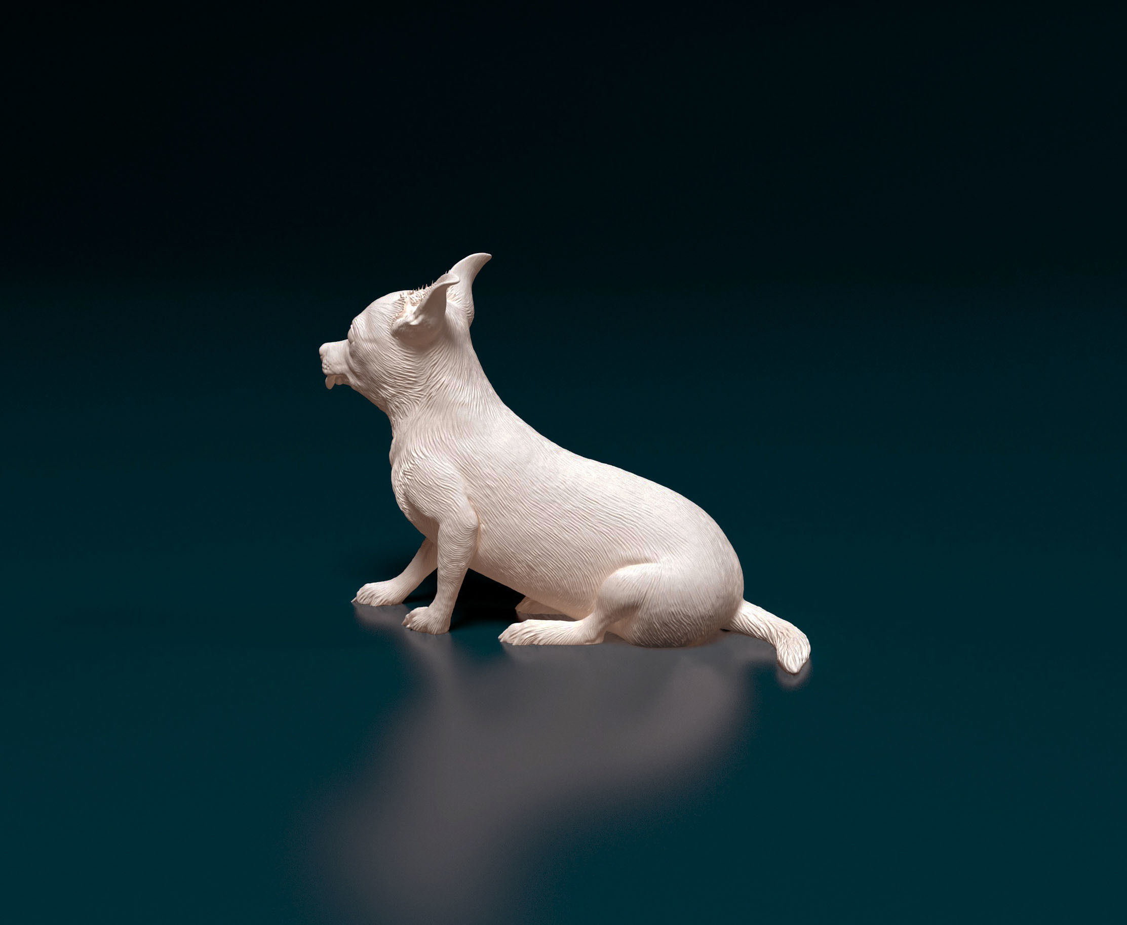 Chihuahua dog 07 3D print model_4