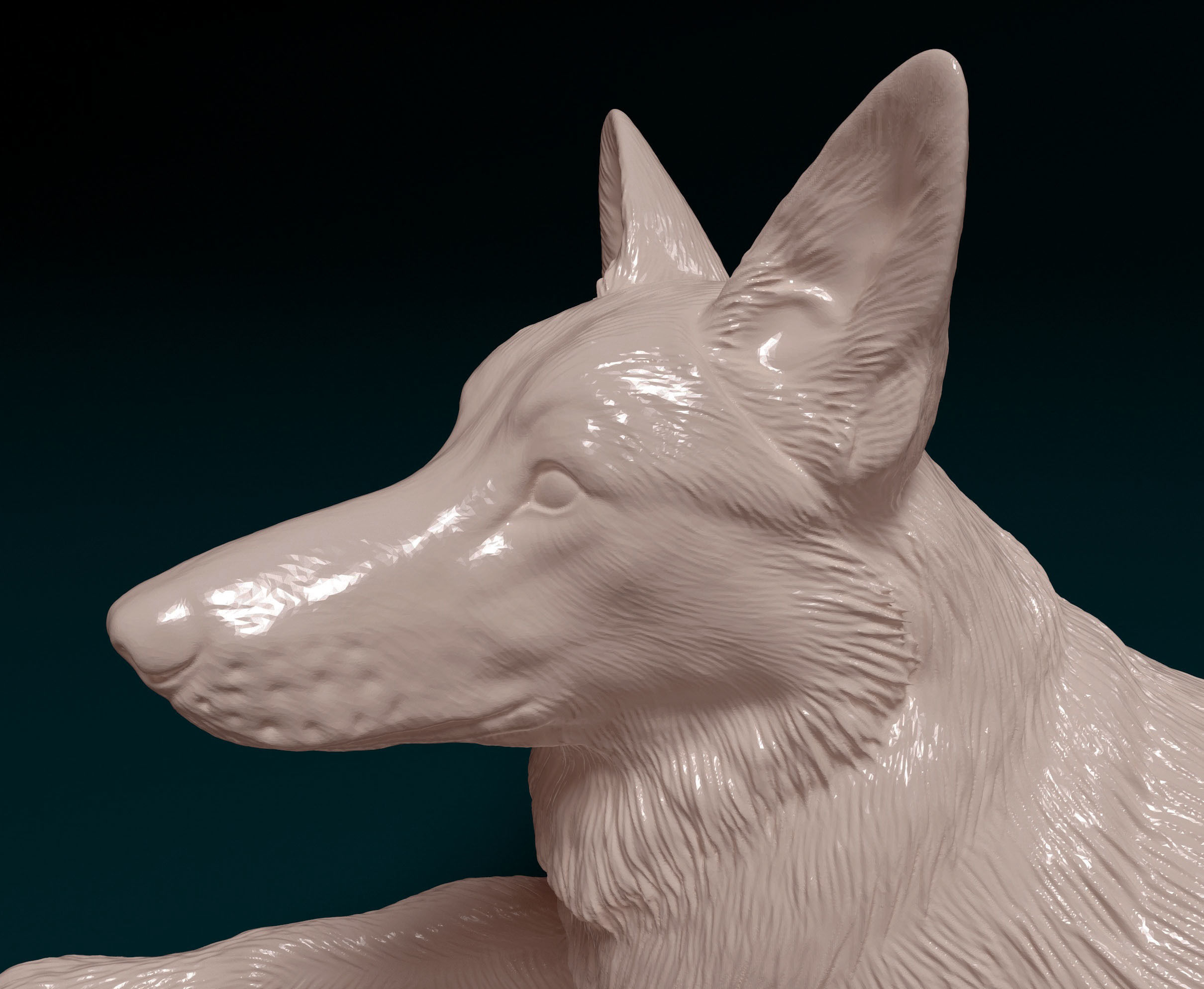 German Shepherd dog 07 3D print model_6