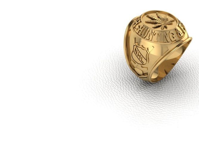 Ring man NHL 3D print model