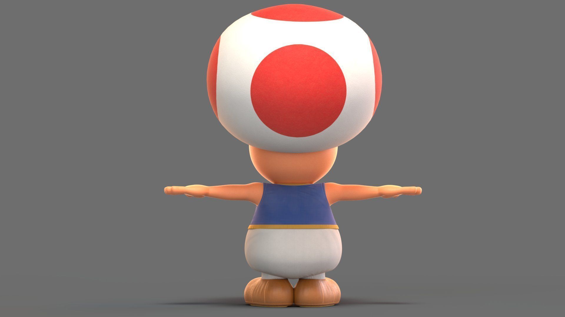 Toad  From The Super Mario Bros Movie 3D model_7