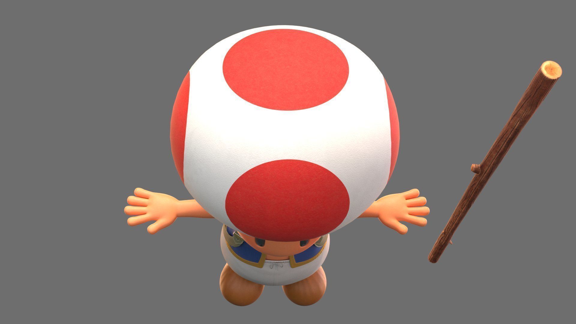Toad  From The Super Mario Bros Movie 3D model_4