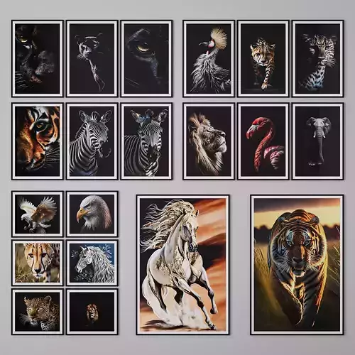 Set of large Animals Pictures