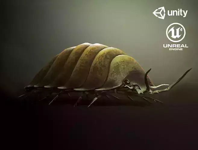 Woodlouse insect1 - Game Ready Low-poly 3D model