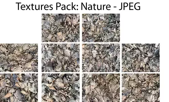 Nature Textures Pack 1 Texture