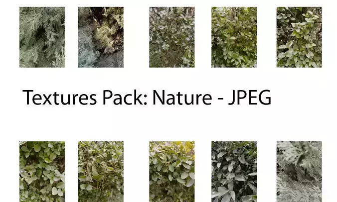 Nature Textures Pack 2 Texture
