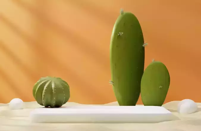 Podium on sands wave with green tropical cactus plants