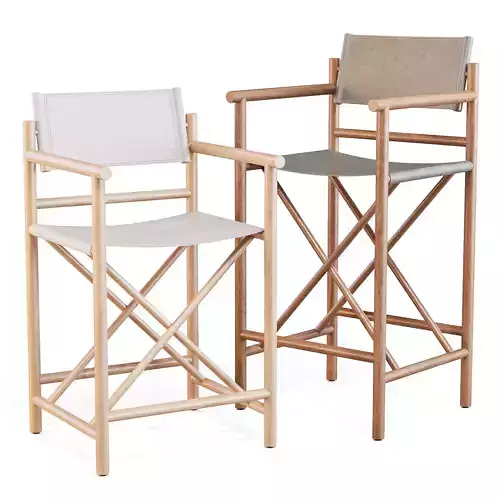 Crate and Barrel Directors - Bar and Counter Stool