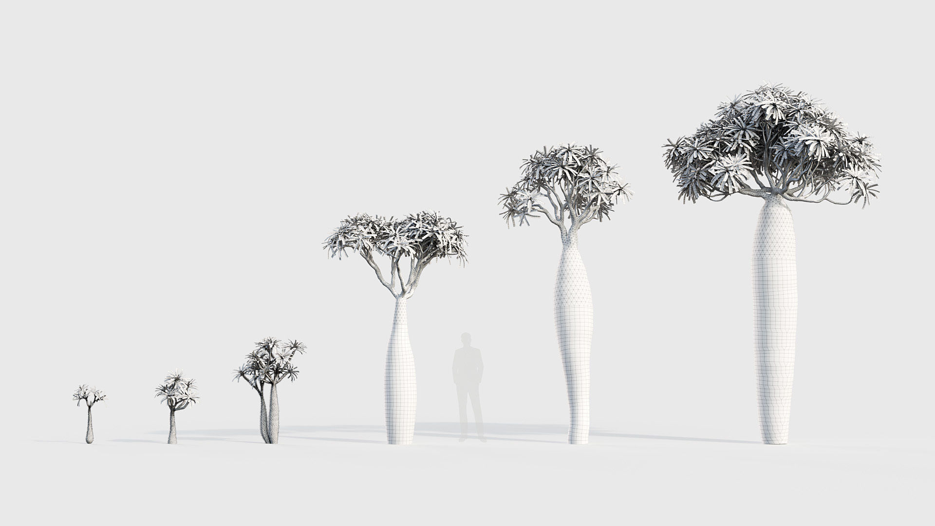 Pachypodium geayi Madagascar Palm 3D model_8