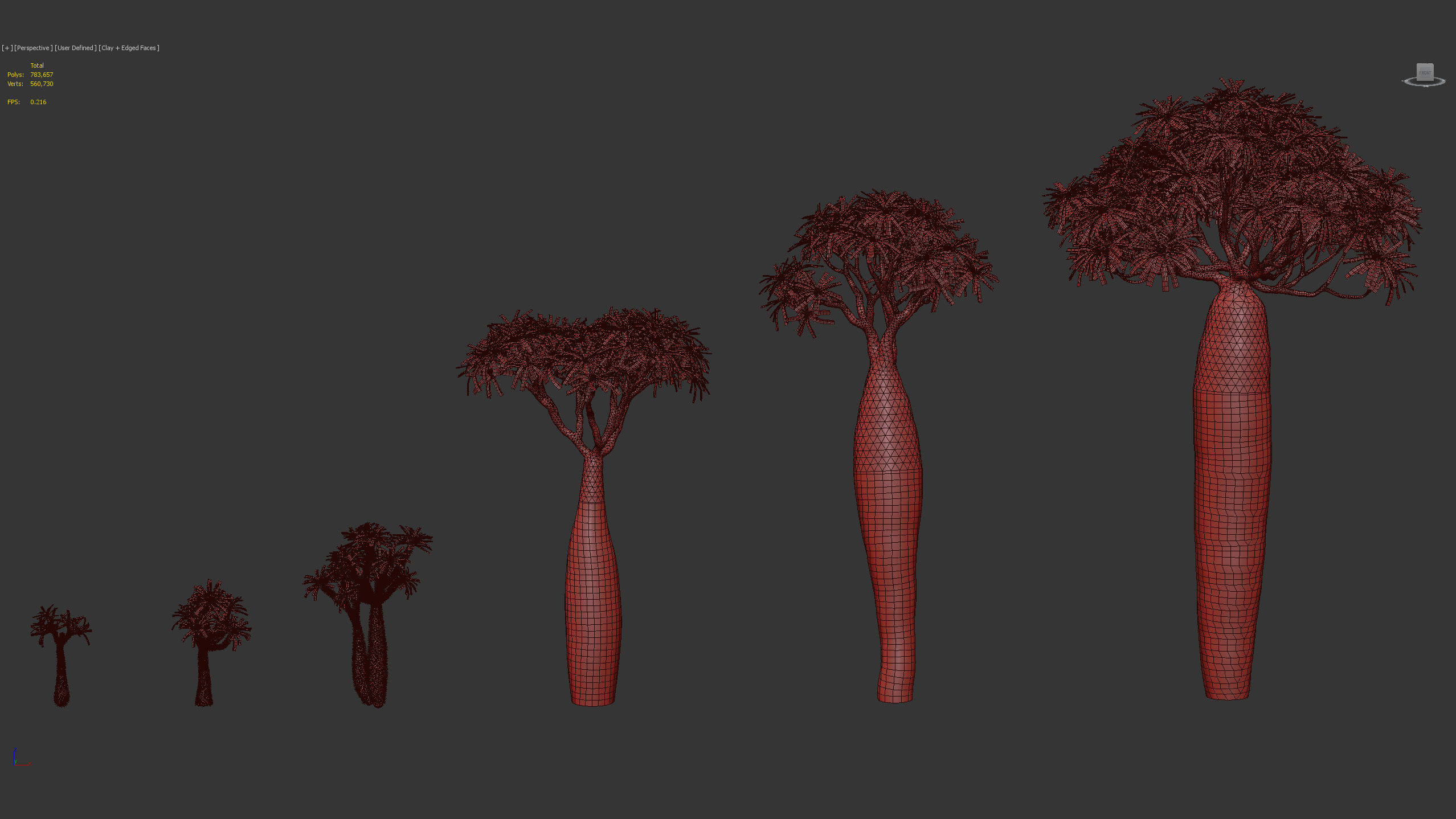 Pachypodium geayi Madagascar Palm 3D model_10