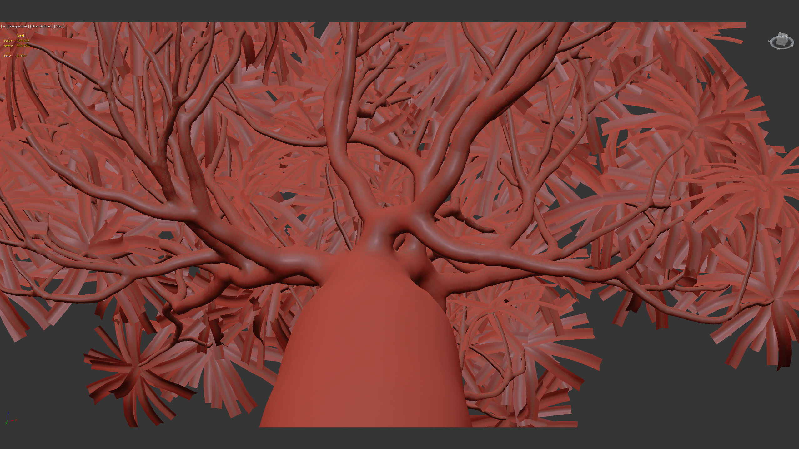 Pachypodium geayi Madagascar Palm 3D model_13