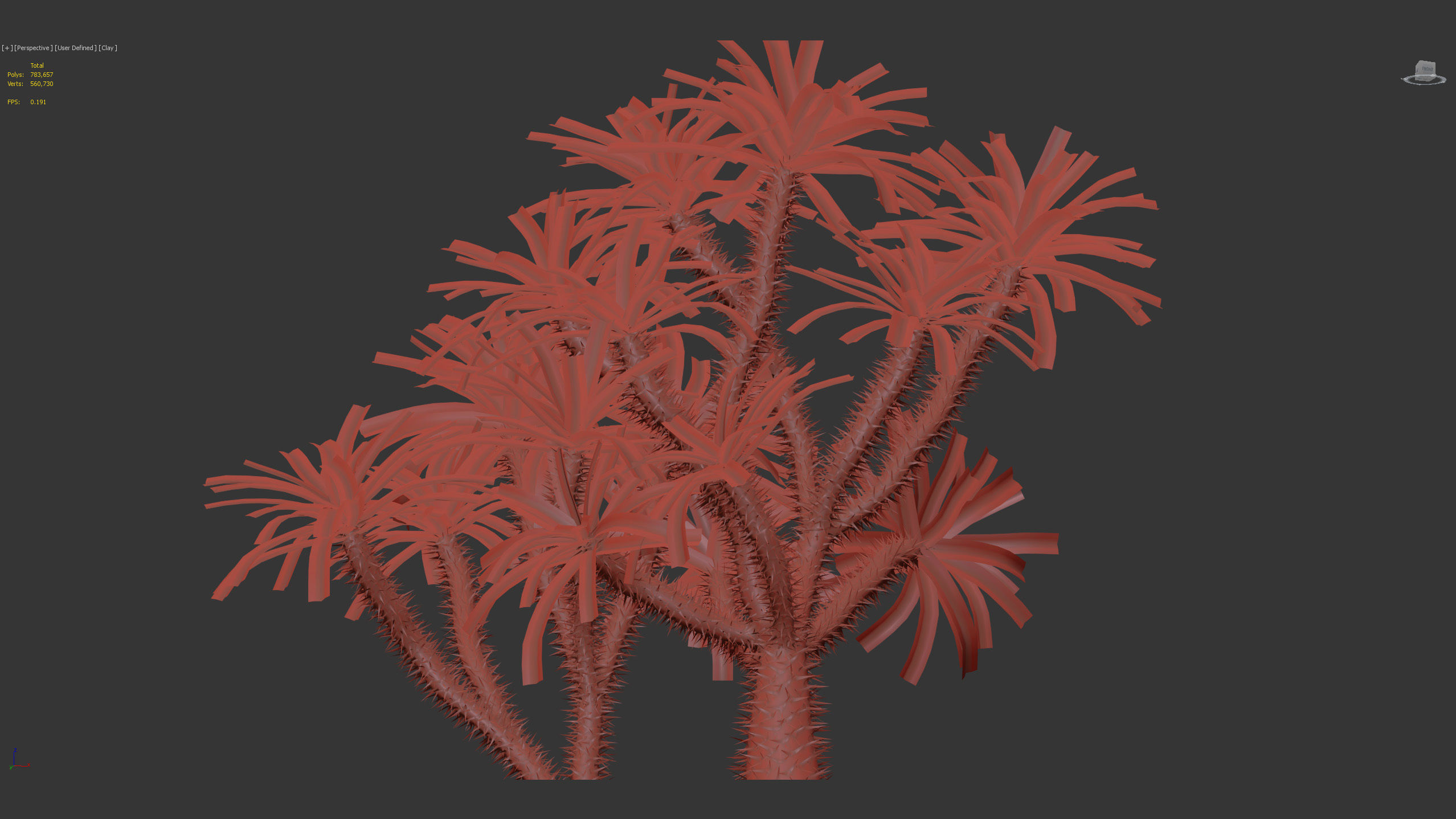 Pachypodium geayi Madagascar Palm 3D model_11