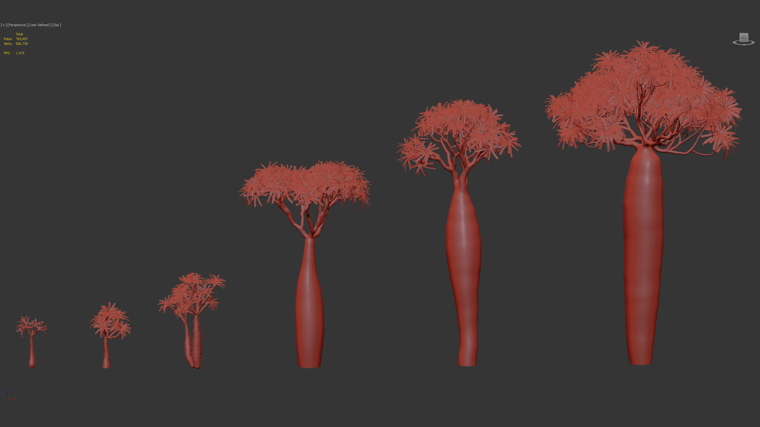 Pachypodium geayi Madagascar Palm 3D model_9