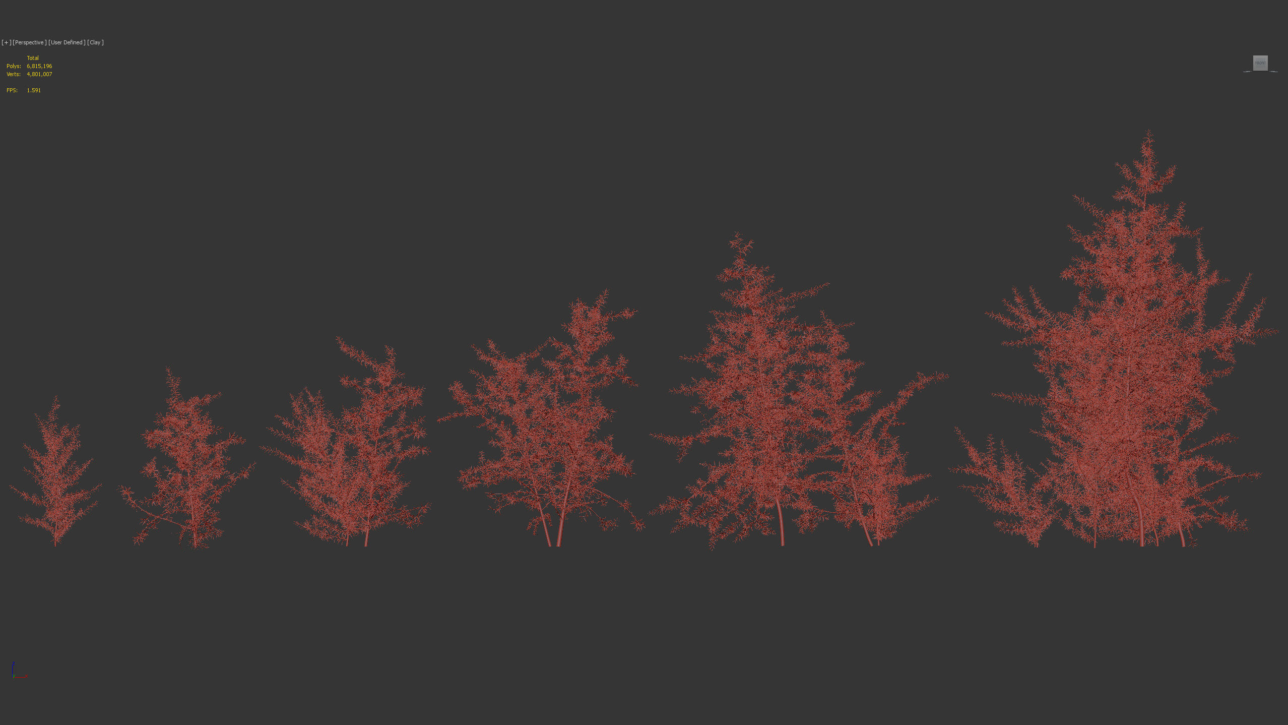 Hippophae rhamnoides Sea buckthorn 3D model_9