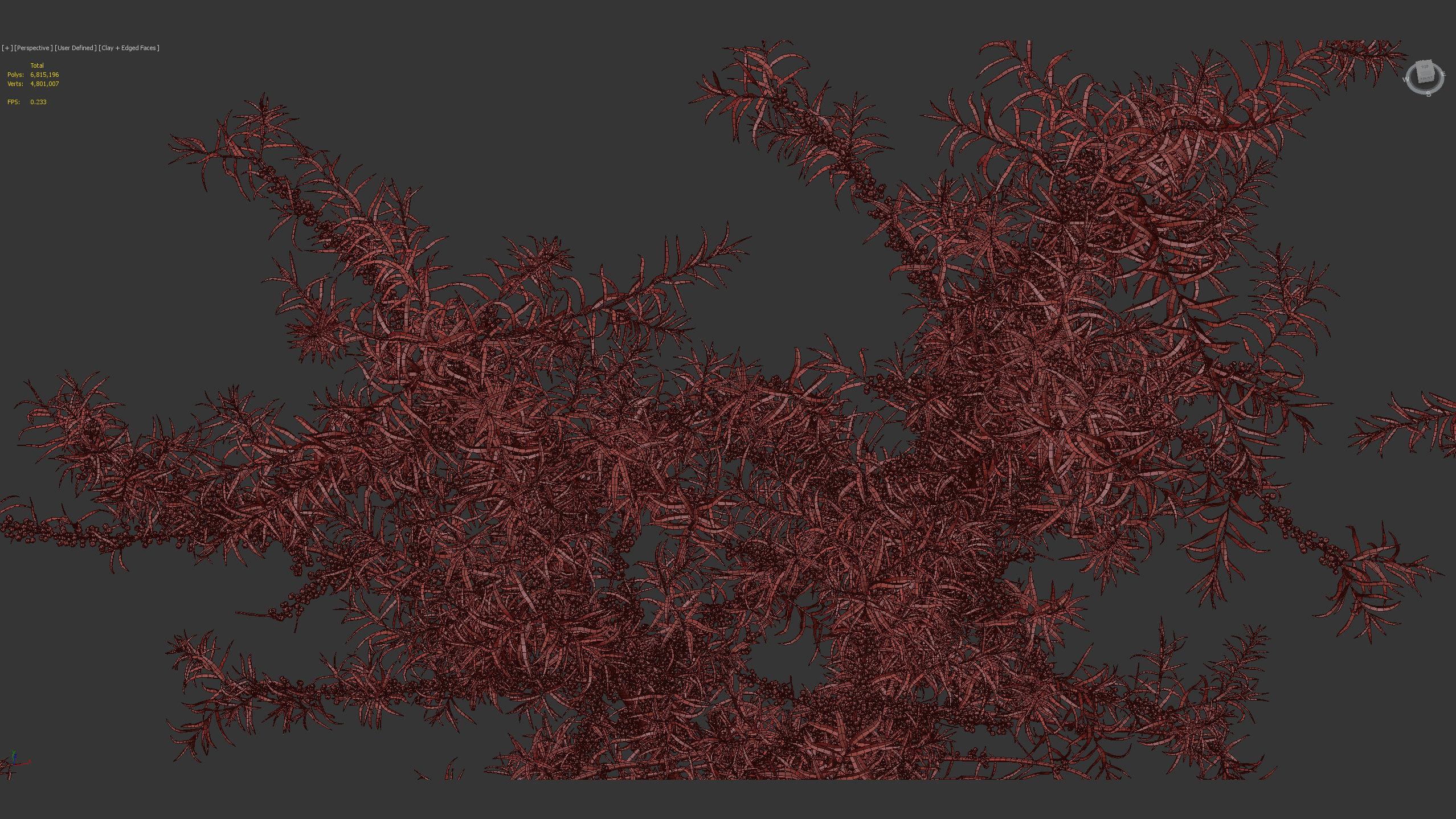 Hippophae rhamnoides Sea buckthorn 3D model_13